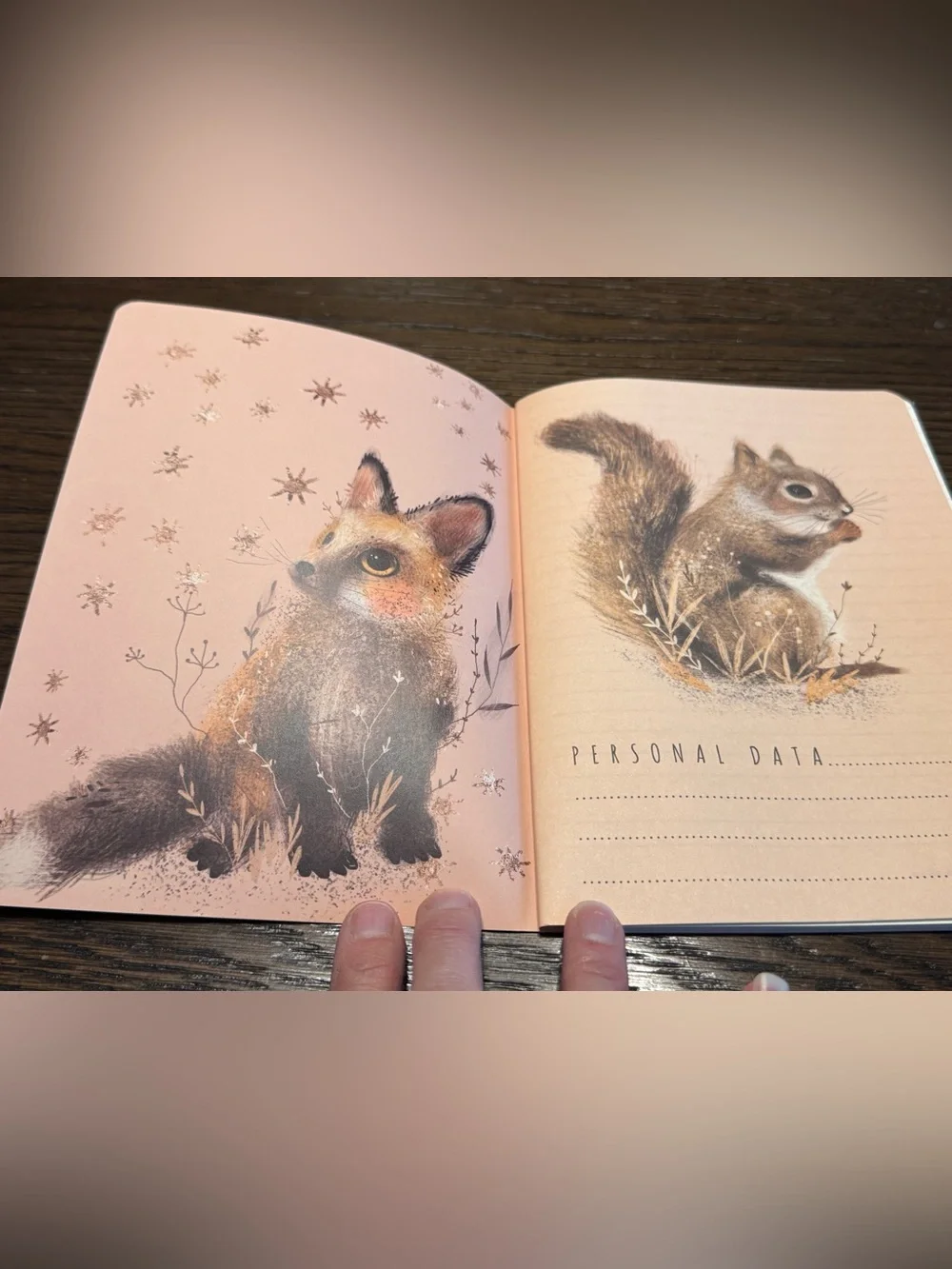 2 Pack Gorgeous Soft Touch Journals - BV by Bruno Visconti - Amazing Unique Gift